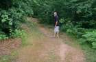 Teren Premium Intravilan ?uncuiu? (Pojorata) Panorama superba, padure - 4