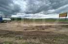 Teren intravilan, 8000 mp, DN 71 - 1