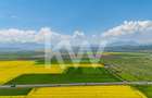 Teren 10.600 mp în Codlea – ideal pentru investiție industrială - 9