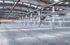 Complex industrial modern cu spații de birouri | Timișoara | România - 4