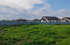 Teren de vanzare 9.200 mp Deschidere 29 ml Clinceni, Str. Vulturului - 3