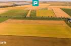 Teren intravilan 31.862 mp Zona strategica Metro - 12