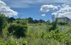 Teren intravilan 926 mp cu dublă deschidere – Bucium Pietrărie, Bârnova, Iași - 8