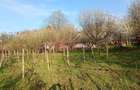 Proprietate de vanzare - 7