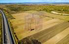 Terenuri industriale cu deschidere la A1, km 64 Jugureni, Dambovit - 4