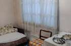 De vanzare casa individuala in Gruia zona Hotel ARY - 8