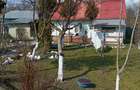 Vand casa ?ichindeal - 10