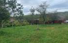 Casa + teren livada Stalpeni, Judetul Arges - 4