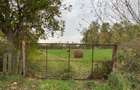 Vand Teren Intravilan, sat Duboz, comuna Nitchidorf, Timis