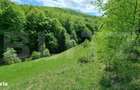EXCLUSIVITATE! Teren extravilan, 5.400 mp, Comuna Iara, Valea Vadului