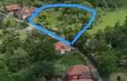 830mp sau 420mp in ?inutul Padurenilor jud Hunedoara - 7