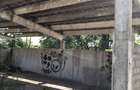 Proprietate de vanzare in Suncuius! - 4