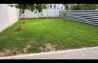 Casa 4 Camere Pantelimon Central 500mp teren
