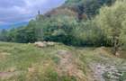 Teren 2,000mp Copalnic-Manastur / Strada Principala - 7
