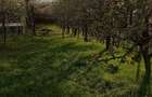 Proprietate de vanzare - 12