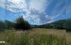 Teren cu potential turistic, cadru natural rar, 20.000 mp Sacuieu - 10