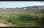 Teren 5300mp Teis DB 17 Euro Mp Sau parcelat - 3