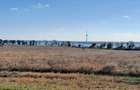 Ocazie ! Eforie Nord 3 Loturi 517 Mp. 19.500 Euro Ideal Investitie ! - 7