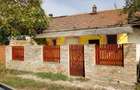 VAND casa renovata, luminoasa cu tavan inalt ,utila pentru orice destinatie,in Jimbolia. - 10