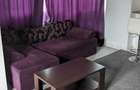inchiriere apartament 2 camere, micro 3 - 14