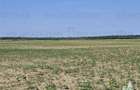 Teren cu iesire dubla la A1, langa nod rutier A0, Stoenesti- Giurgiu,