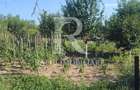 Casa cu 3 camere + garaj si gradina | Picleu | Bihor - 8