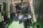 Casa Renovata 4 Camere de Vanzare | 257mp teren *Calea Calarasilor*