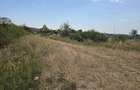 Teren intravilan (loc de casa afacere) la drumul principal in Sebis Arad - 2