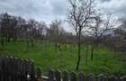 Vand casa cu sura, curte mare si gradina in Bosanci, Suceava - 1