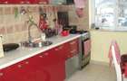 Ap 3 cam gara 80mp ct term mob renovat - 9