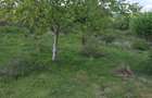 Negresti Oas, Satu Mare Teren 34000 mp - 1