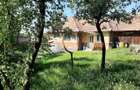 Teren cu utilitati si casa veche in Rediu - 4