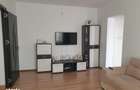 Apartament 2 camere Craiovei - 8