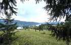 Teren intravilan Colibita 2300 mp panoramic
