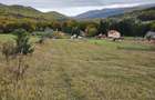 Teren de 3100 mp, în Trăisteni