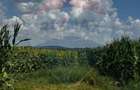 Teren 6,000mp Costana / DN 178A - Costana (Suceava) - 1