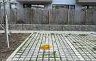 CHITILA - Atria Urban | Chirie 2 Camere cu Curte + Piscina | Parcare - 9