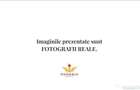 De inchiriat apartament 2,3 cam,Duplex,Penthouse,Nicolae Balcescu 80A. - Galati (Galati) - 8