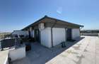 Penthouse Dobroiesti