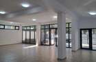 Spatiu comercial de inchiriat - 1