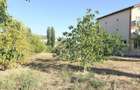 Teren intravilan 1803 mp de vanzare la intrare in Baile Felix