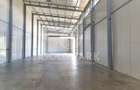 Spatiu Industrial-Hala-Zona Autostrazii-Birouri/Curte Betonata/Rampa - 3