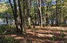 TEREN Intravilan 500-1000mp | Cadru natural deosebit | OCAZIE DE INVESTITIE