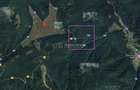Teren 7 ha, Lac Vidraru, Podis Molivis - 7