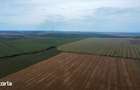 Teren intravilan 47.300 mp Cumpana, jude?ul Constan?a - 5
