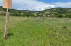 Teren de vanzare cu intravilan - 3