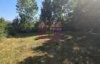 Teren intravilan de vanzare 3375 mp in Brebu