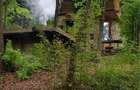 Vand Cabana ecologica zona Oradea - 3