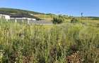 Teren intravilan, 1000 mp, zona Central - Livezeni - 1