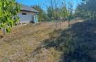 Loc de casa cu utilitati la 27 km de Bucuresti comuna Bulbucata - 2